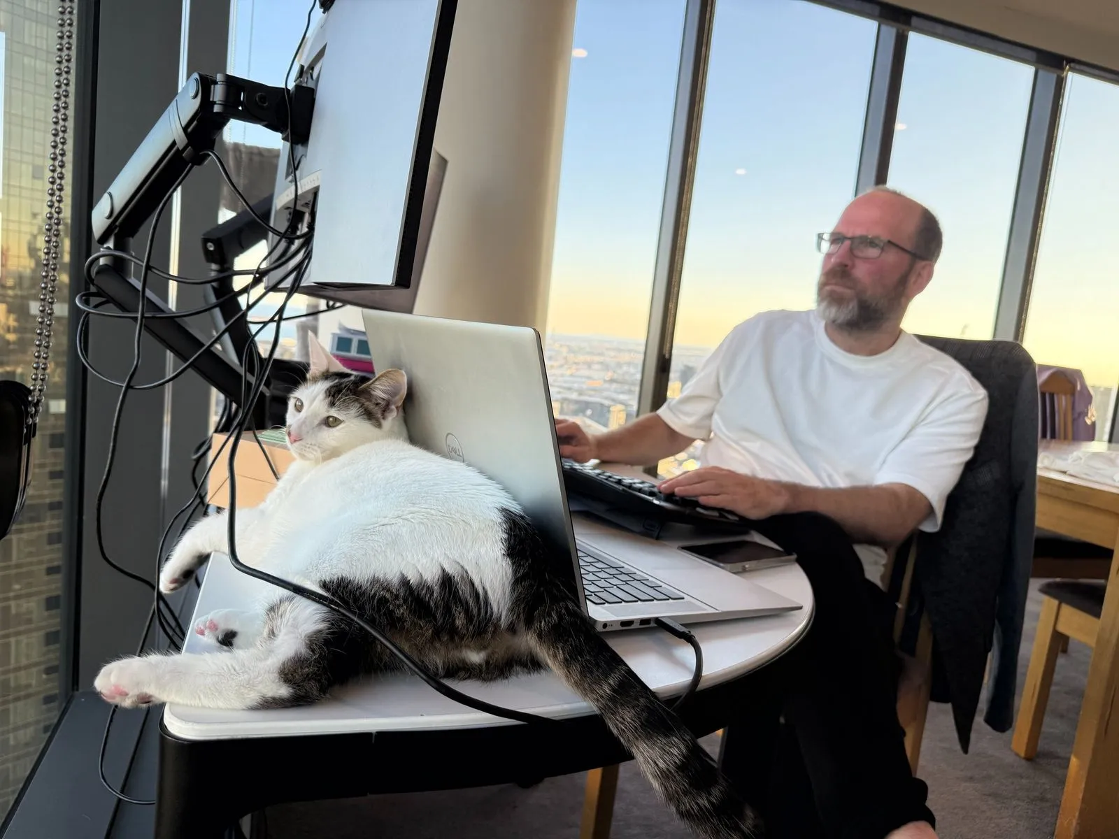 David at his desk with his registered pet, Mikeš